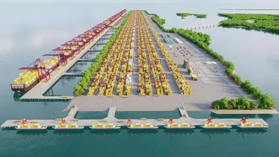 TPHCM đề xuất cơ chế đặc thù giữ chân nhà đầu tư chiến lược cho siêu cảng Cần Giờ