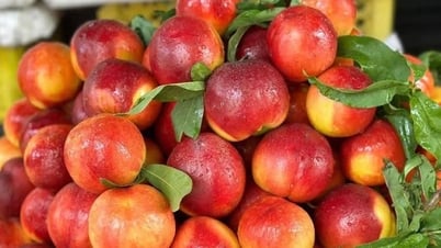 Peaches គឺនៅក្នុងរដូវកាលក្នុងតម្លៃថោកបំផុត។ ជាមួយនឹងគន្លឹះតូចៗមួយចំនួន អ្នកអាចបំប្លែងវាទៅជាមុខម្ហូបឆ្ងាញ់ៗចំនួន 5 យ៉ាងយ៉ាងងាយស្រួល ដើម្បីបន្ធូរអារម្មណ៍ និង 'ចាប់និន្នាការរដូវក្តៅ'