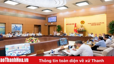 Từ hôm nay, các cặp vợ chồng được tự quyết định số con