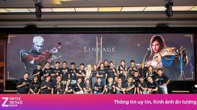 Lineage2M - دروس تسويقية للعلامات التجارية الكبرى
