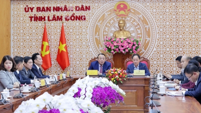 Chủ tịch UBND tỉnh Lâm Đồng làm việc với Tập đoàn Tân Hoàng Minh về Dự án Khu đô thị thông minh tại Xuân Thọ, Đà Lạt