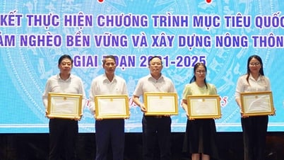 Hafen von Da Nang erhält Verdiensturkunde „Für die Armen“