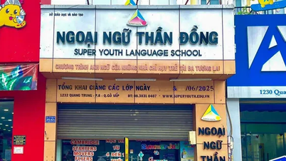 Đình chỉ một trung tâm ngoại ngữ Thần Đồng tại TPHCM vì hàng loạt sai phạm