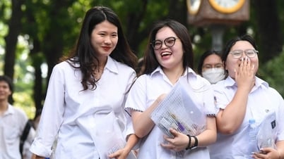 Đáp án tất cả các môn thi vào lớp 10 năm 2025 của tỉnh Hải Dương