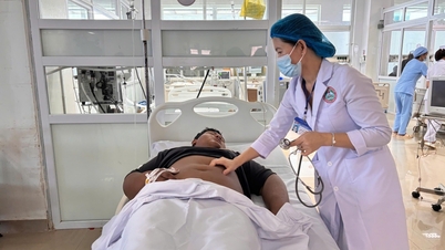 7 người nhập viện sau khi ăn nấm độc