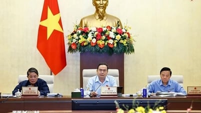 Sửa đổi, bổ sung Luật Tiêu chuẩn và quy chuẩn kỹ thuật: Tăng tính minh bạch