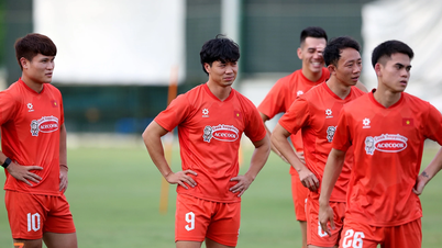 Sonrisas en el primer día del equipo completo vietnamita
