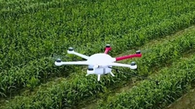 Trí tuệ nhân tạo (AI) - Chìa khóa tái định hình nền nông nghiệp