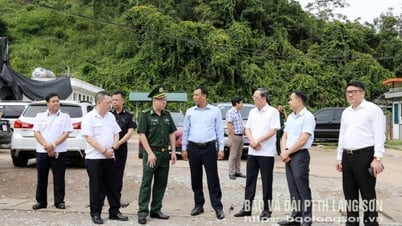 Kết nối, thúc đẩy xuất khẩu vải thiều qua các cửa khẩu của tỉnh Lạng Sơn