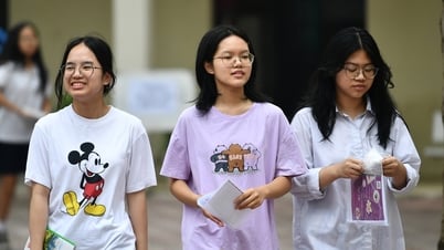 Examen oficial de matemáticas para décimo grado en la provincia de Ninh Binh en 2025