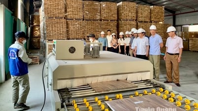 Создание импульса для развития сельской промышленности