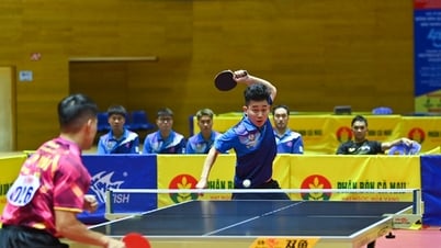 Bầu Hiển và câu chuyện gieo mầm hy vọng