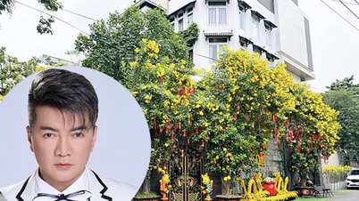 담빈흥, 100만 달러 빌라 매각…놀라운 이유 공개