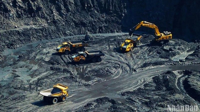 Vietnam National Coal-Mineral Industries Group поставляет около 20 миллионов тонн угля для производства электроэнергии