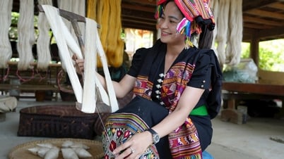 Mulberry cultivation and silkworm raising, effective livelihoods in the highlands of Nghe An