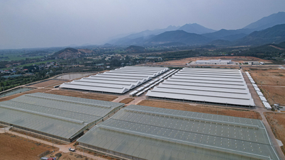 Phát triển ngành chế biến thực phẩm theo hướng bền vững
