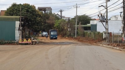 Đừng để tuột mất cơ hội vì... thủ tục
