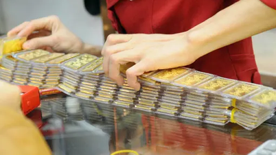 انخفاض حاد في سعر سبائك الذهب في SJC، حيث خسر المشترون الشهر الماضي ما يصل إلى 11 مليون دونج/تيل