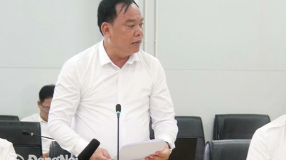 Thành lập Hội đồng Tư vấn Ban Chỉ đạo về phát triển khoa học, công nghệ, đổi mới sáng tạo và chuyển đổi số tỉnh Đồng Nai