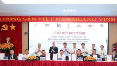 Phấn đấu khởi công dự án Thủy điện Trị An mở rộng vào dịp Quốc khánh 2/9
