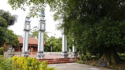 바우 성채 2차 고고학 발굴 허가