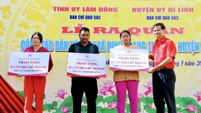 Phát huy vai trò của Hội Chữ thập đỏ trong tình hình mới