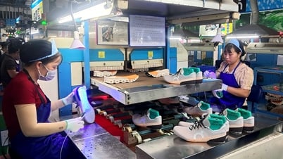 빈옌슈 주식회사: 기술 혁신, 제품 품질 개선, 지속 가능한 통합