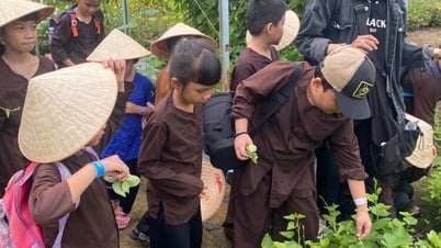 Laissez votre enfant passer un été complet
