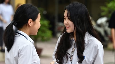Preguntas del examen de inglés para el examen de ingreso de décimo grado en Hai Phong en 2025