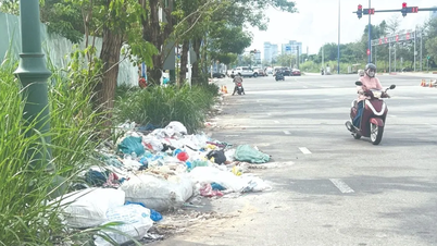 Những quy định bị… lờn: Loay hoay xử lý hành vi vứt rác bừa bãi