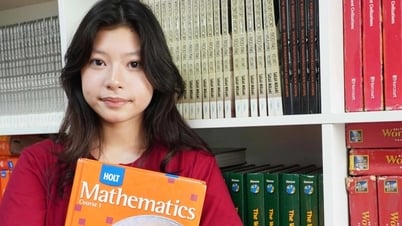 English exam questions and answers for 10th grade entrance exam in 2025, Binh Phuoc province