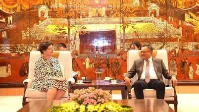 Many activities to celebrate the 50th anniversary of Vietnam - Germany diplomatic relations