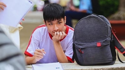 Casi 1.000 estudiantes en Ciudad Ho Chi Minh serán admitidos directamente al décimo grado en 2025.