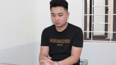 Criminal detention of the person who assaulted a female nurse in Nghe An