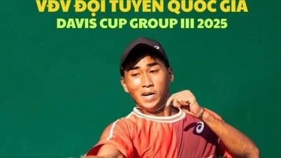 Lý Hoàng Nam không dự Davis Cup, một tay vợt dự tuyển rút lui