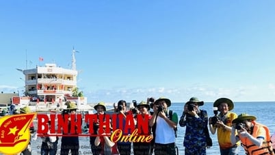 Towards the 100th anniversary of Vietnam Revolutionary Press Day (June 21, 1925 - June 21, 2025): President of Vietnam Journalists Association congratulates journalists