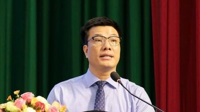 Tiến sĩ lịch sử 45 tuổi làm Phó hiệu trưởng Trường ĐH KHXH và nhân văn TP.HCM