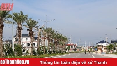 الاستثمار في البنية التحتية للنقل، وخلق زخم للتنمية