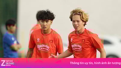 Viktor Lê và bài học cho Việt kiều lên tuyển