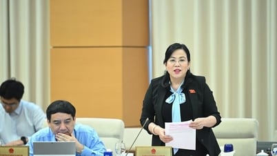 적합성 신고 후 제품 및 물품 품질 검사 미실시