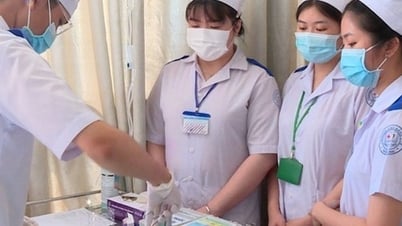 Yêu cầu trình độ đào tạo của viên chức y tế hạng IV