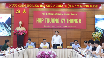 Bí thư Tỉnh ủy, Chủ tịch UBND tỉnh Trịnh Xuân Trường: Nhiệm vụ trước mắt rất lớn, nhiều công việc chưa có tiền lệ