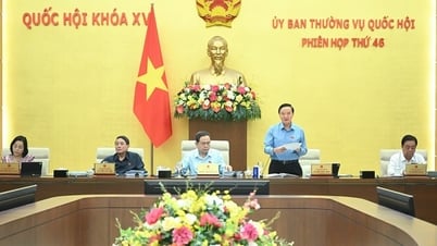 Hoàn thiện dự thảo Luật sửa đổi, bổ sung một số điều của Luật Tổ chức Tòa án nhân dân, trình Quốc hội xem xét, thông qua
