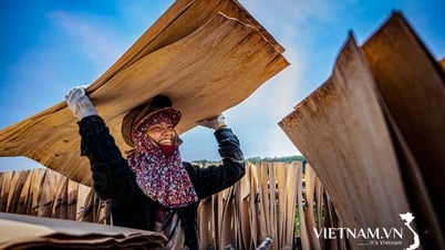 Le prix « Happy Vietnam 2025 » reçoit l’attention de tous les horizons.