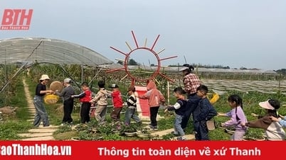 체험형 관광과 결합된 순환형 농업 모델을 방문하세요