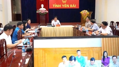 เยนไป๋เข้าร่วมการประชุมออนไลน์แห่งชาติเกี่ยวกับโครงการนำร่องกลไกและนโยบายเฉพาะจำนวนหนึ่งสำหรับการพัฒนาที่อยู่อาศัยทางสังคม