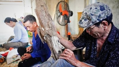 Знания об использовании и обработке агарового дерева и фестиваль гнезд Саланганес в Кханьхоа являются нематериальным культурным наследием.