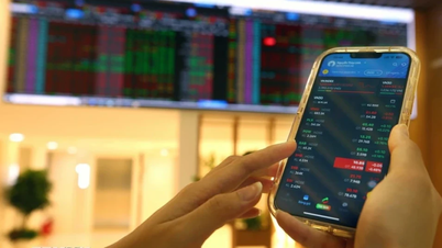 تدفقات نقدية قوية وسوق الأسهم مليئة باللون الأخضر