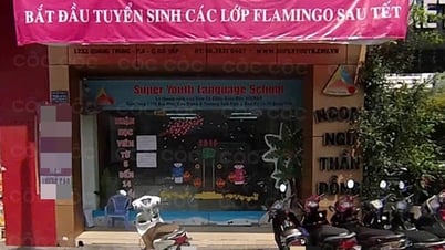 Ho-Chi-Minh-Stadt fordert das Fremdsprachenzentrum Than Dong 8 auf, seinen Betrieb einzustellen