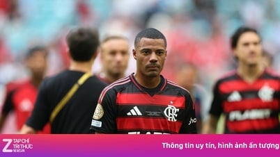 FIFA가 비판했다